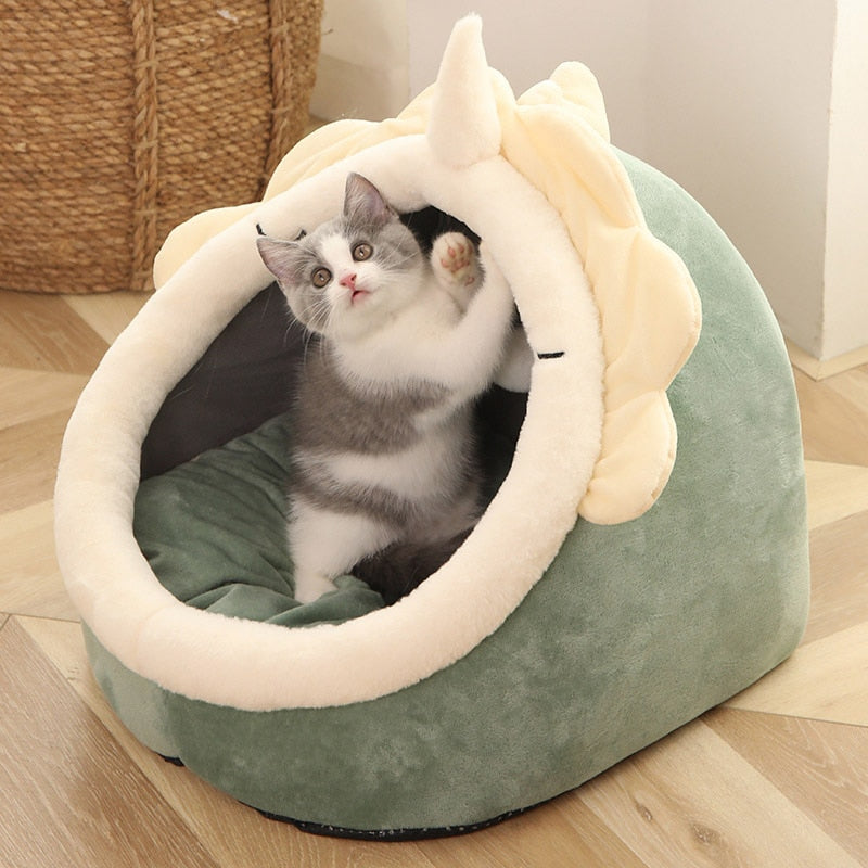 This Cozy House Help Numerous Cats by Providing Security, Reducing Stress, and Promoting Well-Being